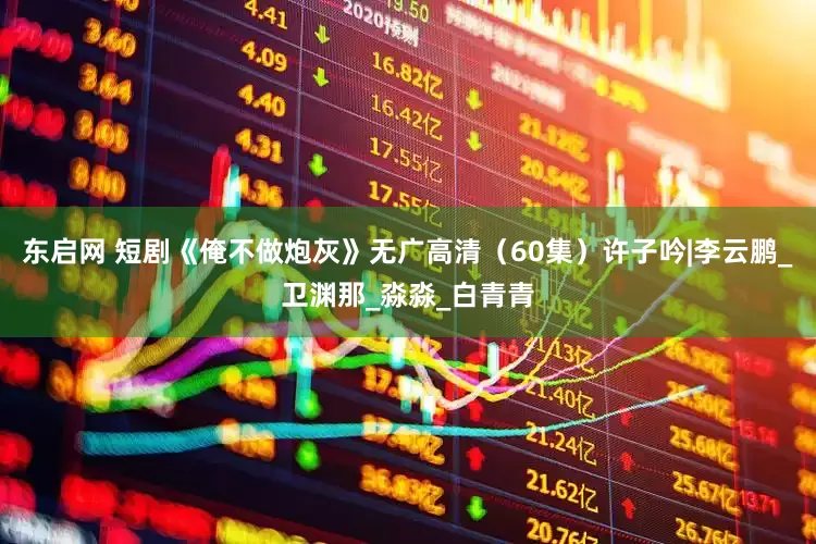 东启网 短剧《俺不做炮灰》无广高清（60集）许子吟|李云鹏_卫渊那_淼淼_白青青