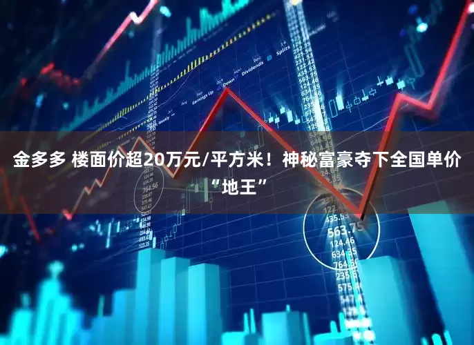 金多多 楼面价超20万元/平方米！神秘富豪夺下全国单价“地王”