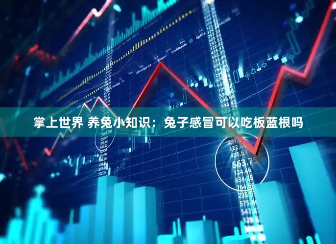 掌上世界 养兔小知识：兔子感冒可以吃板蓝根吗